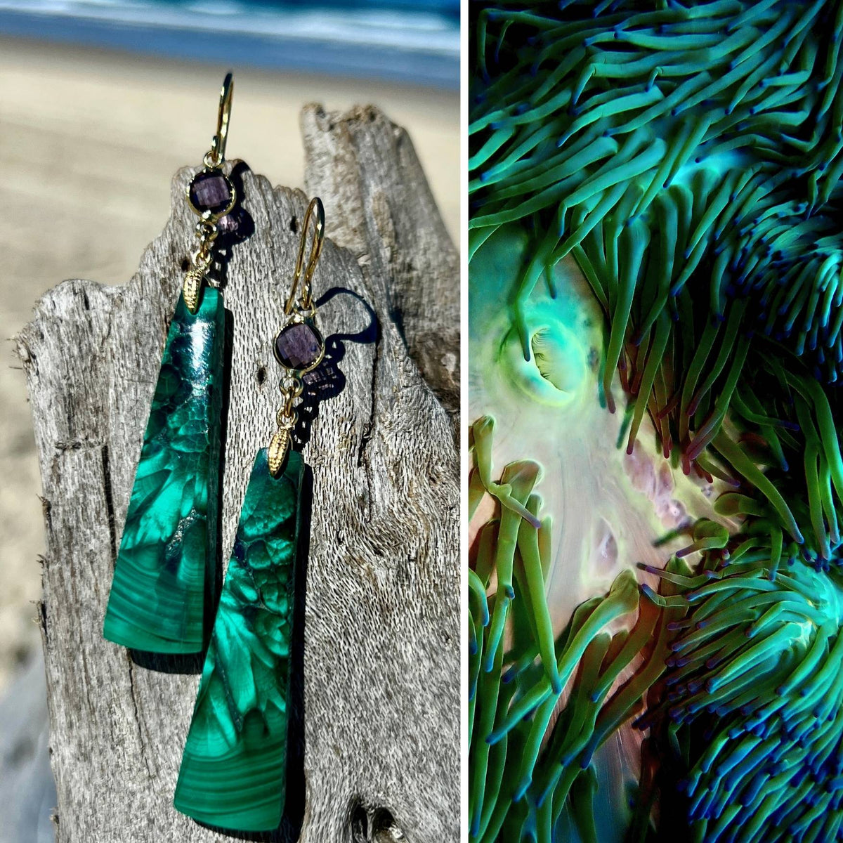 N°068 Statement Earrings - The Living Ocean Colour Collection