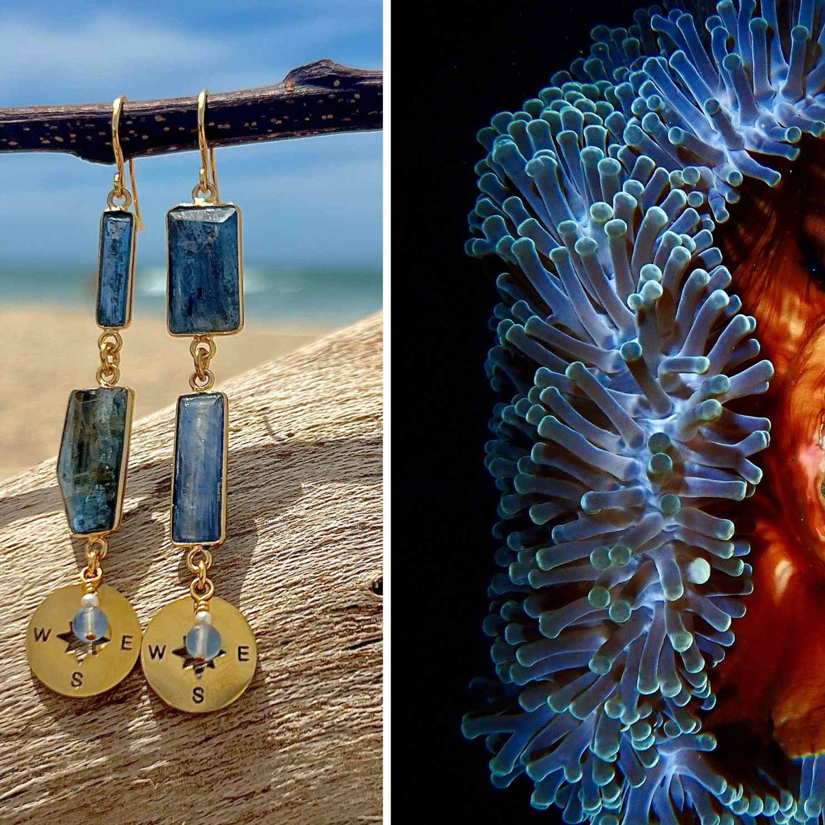 N°006 Statement Earrings - The Living Ocean Colour Collection
