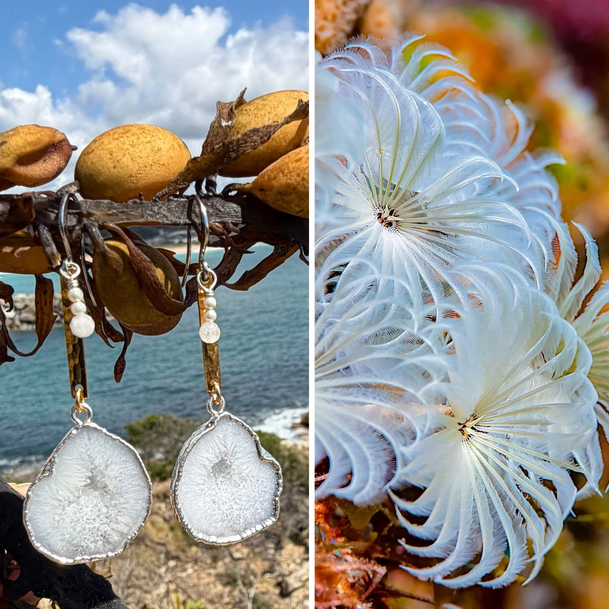 N°70 Christmas 2025 Special Earrings