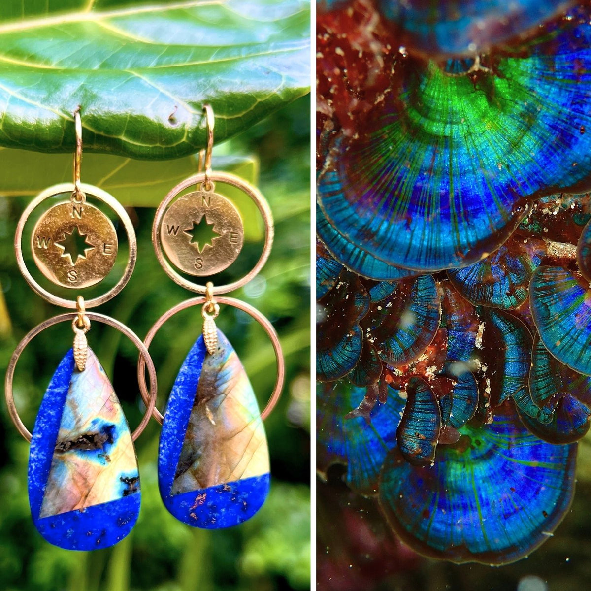 N°070 Statement Earrings - The Living Ocean Colour Collection