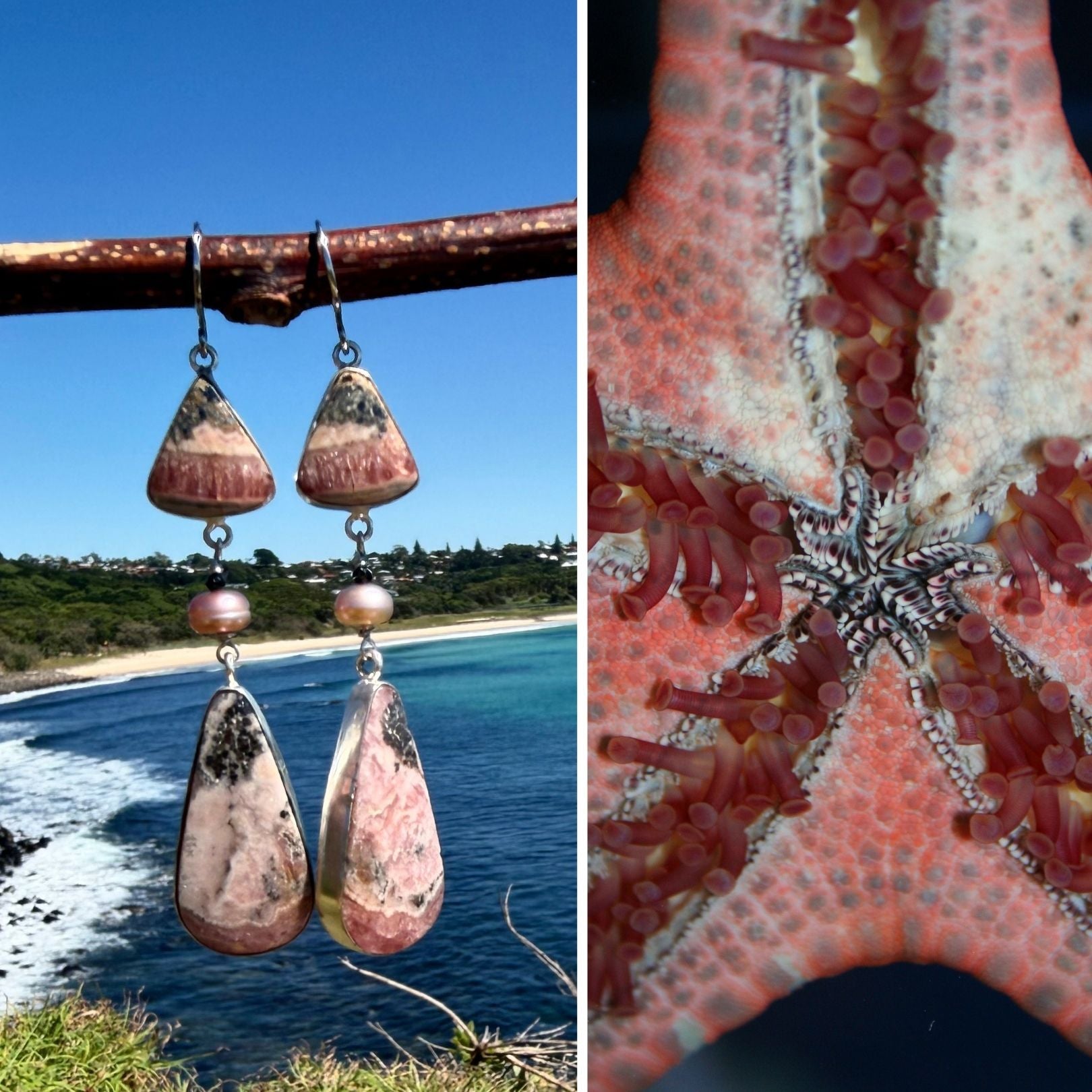 N°73 Christmas 2025 Special Earrings