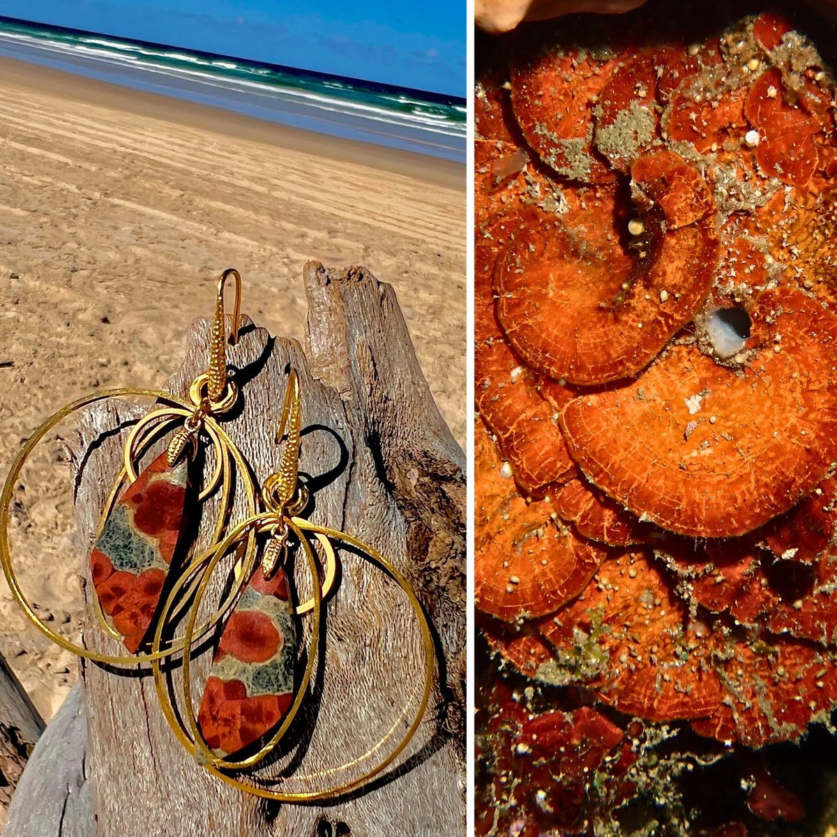 N°074 Statement Earrings - The Living Ocean Colour Collection