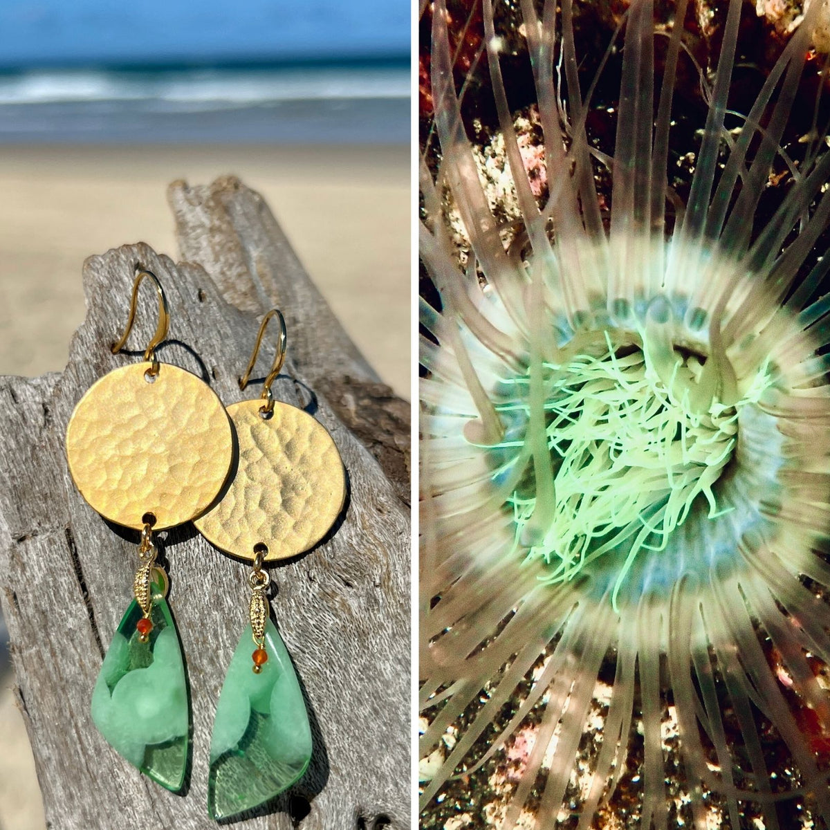 N°075 Statement Earrings - The Living Ocean Colour Collection