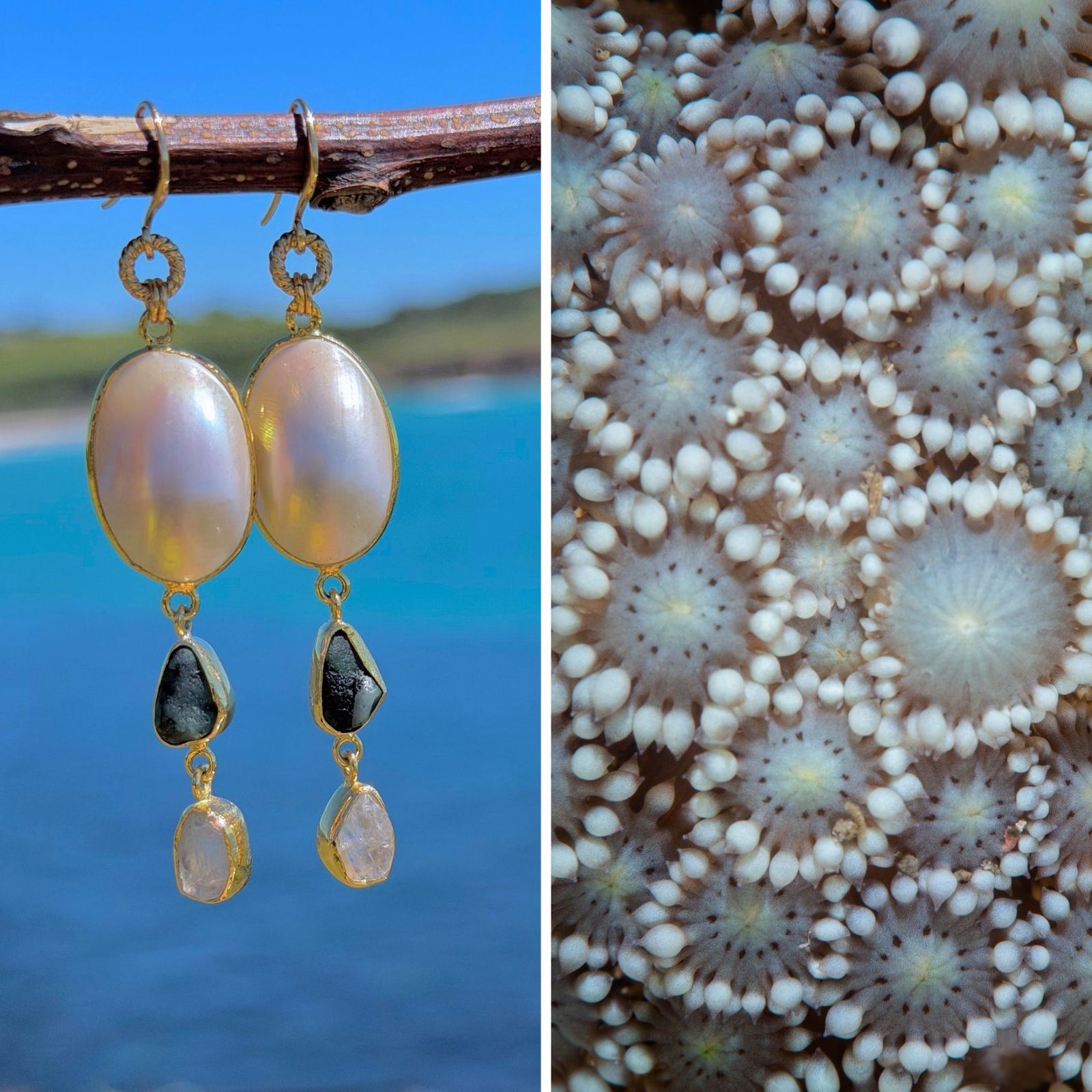 N°77 Christmas 2025 Special Earrings