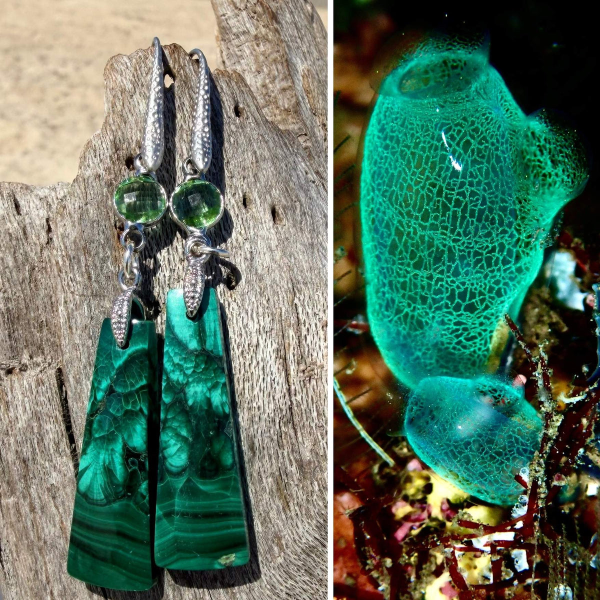 N°086 Statement Earrings - The Living Ocean Colour Collection