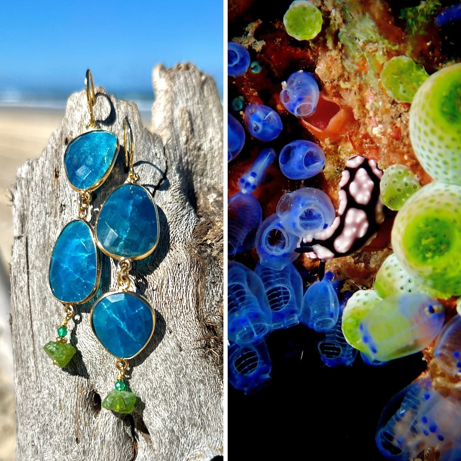 N°091 Statement Earrings - The Living Ocean Colour Collection