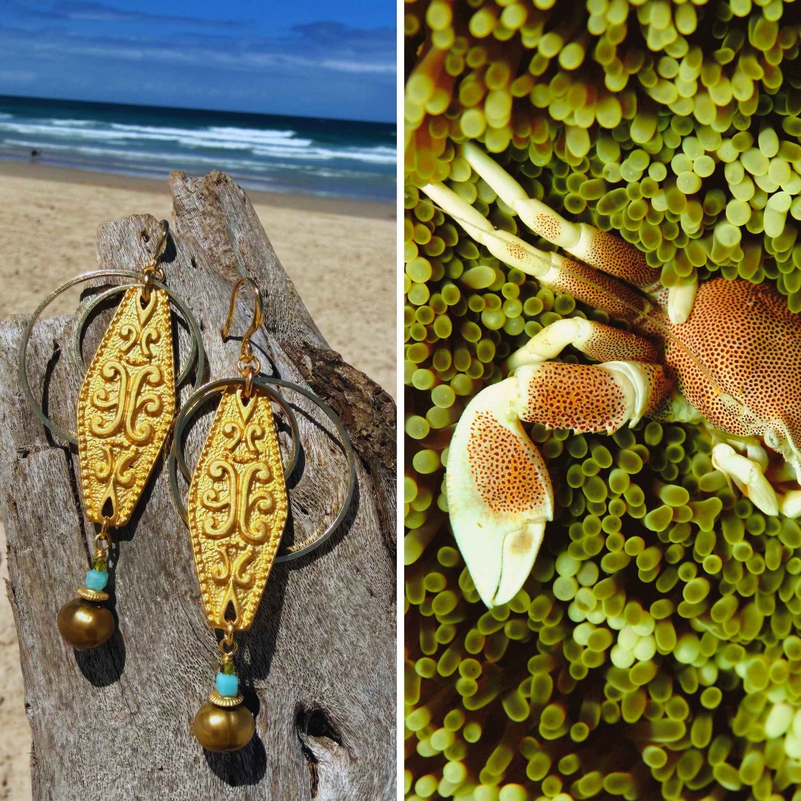 N°099 Statement Earrings - The Living Ocean Colour Collection