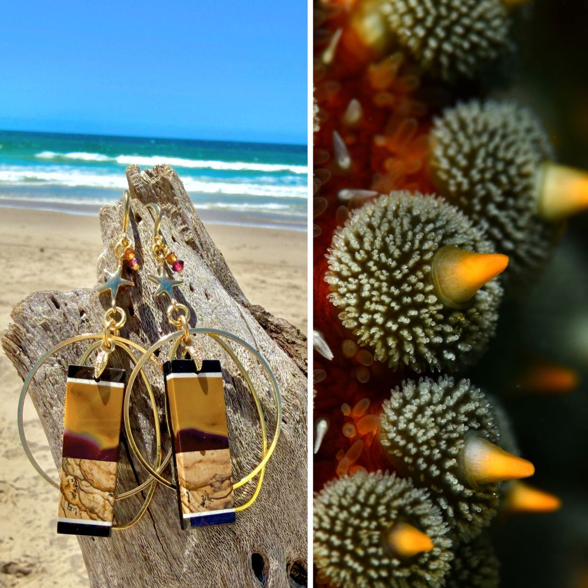 N°067 Statement Earrings - The Living Ocean Colour Collection