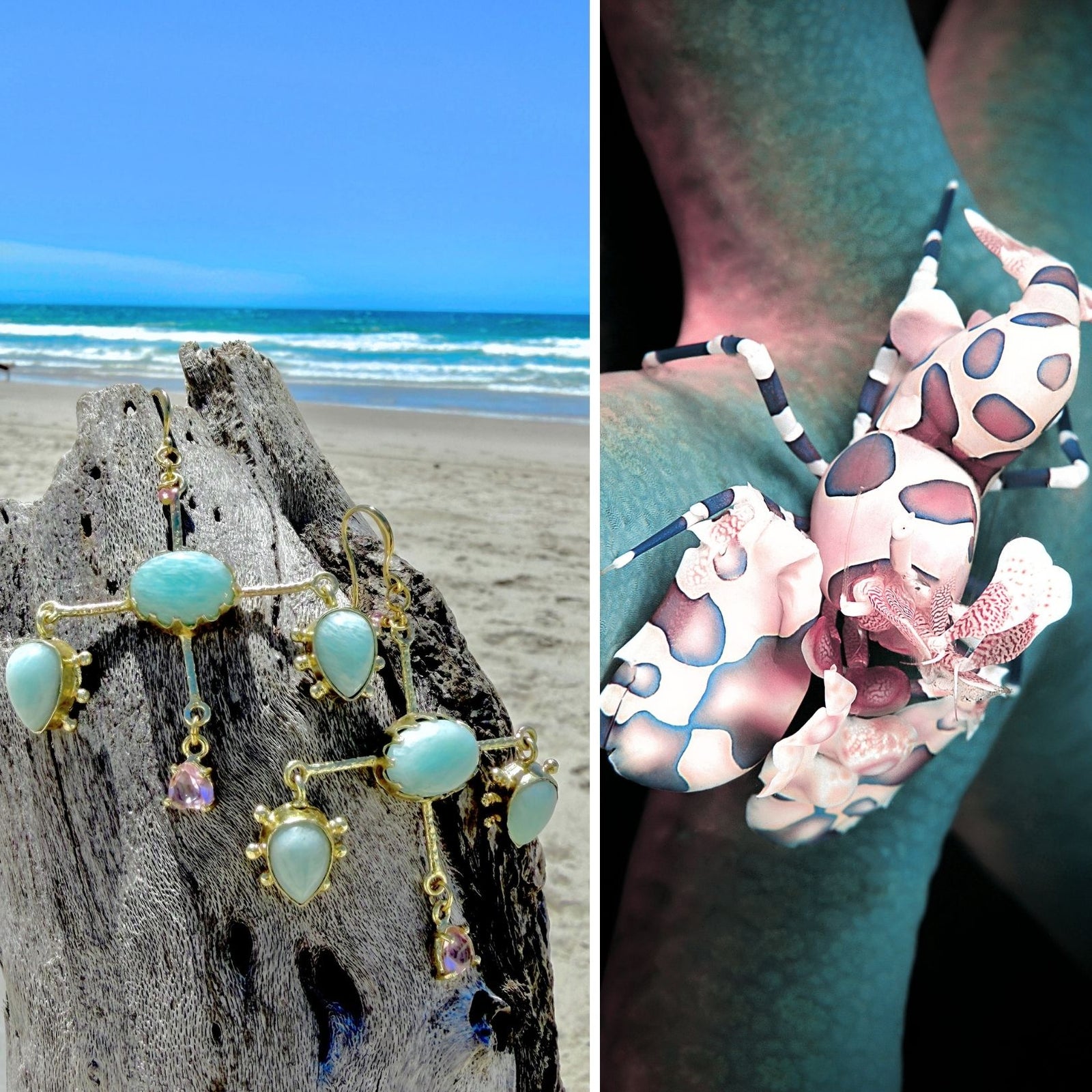 N°069 Statement Earrings - The Living Ocean Colour Collection