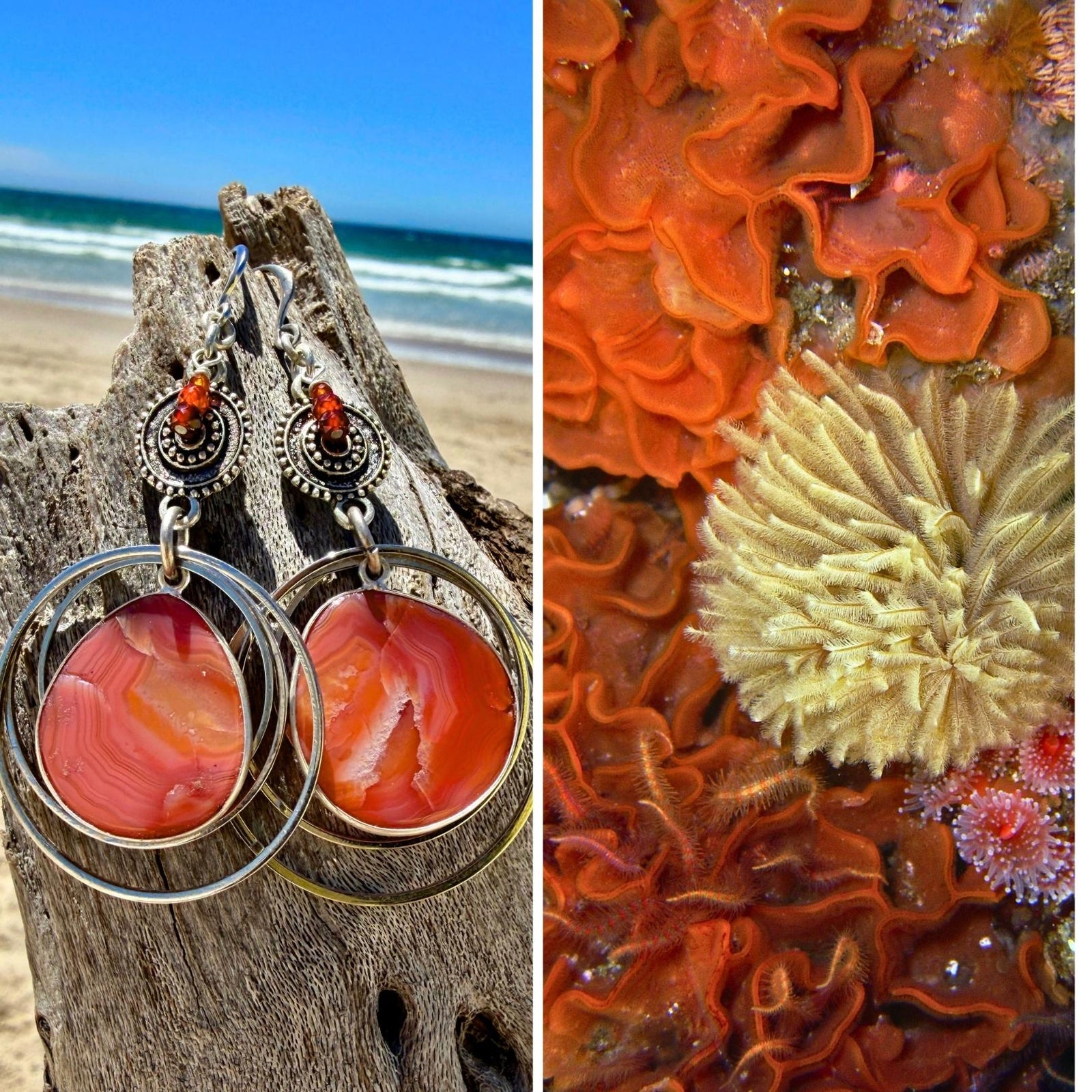 N°089 Statement Earrings - The Living Ocean Colour Collection