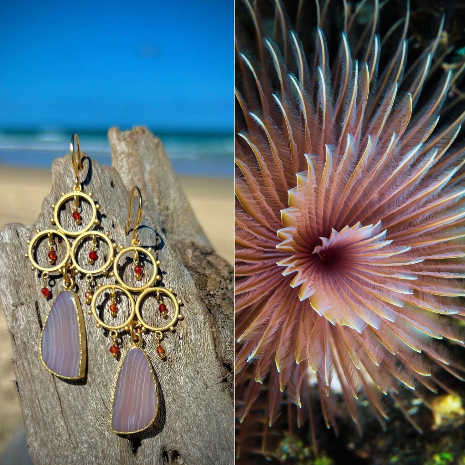 N°050 Statement Earrings - The Living Ocean Colour Collection