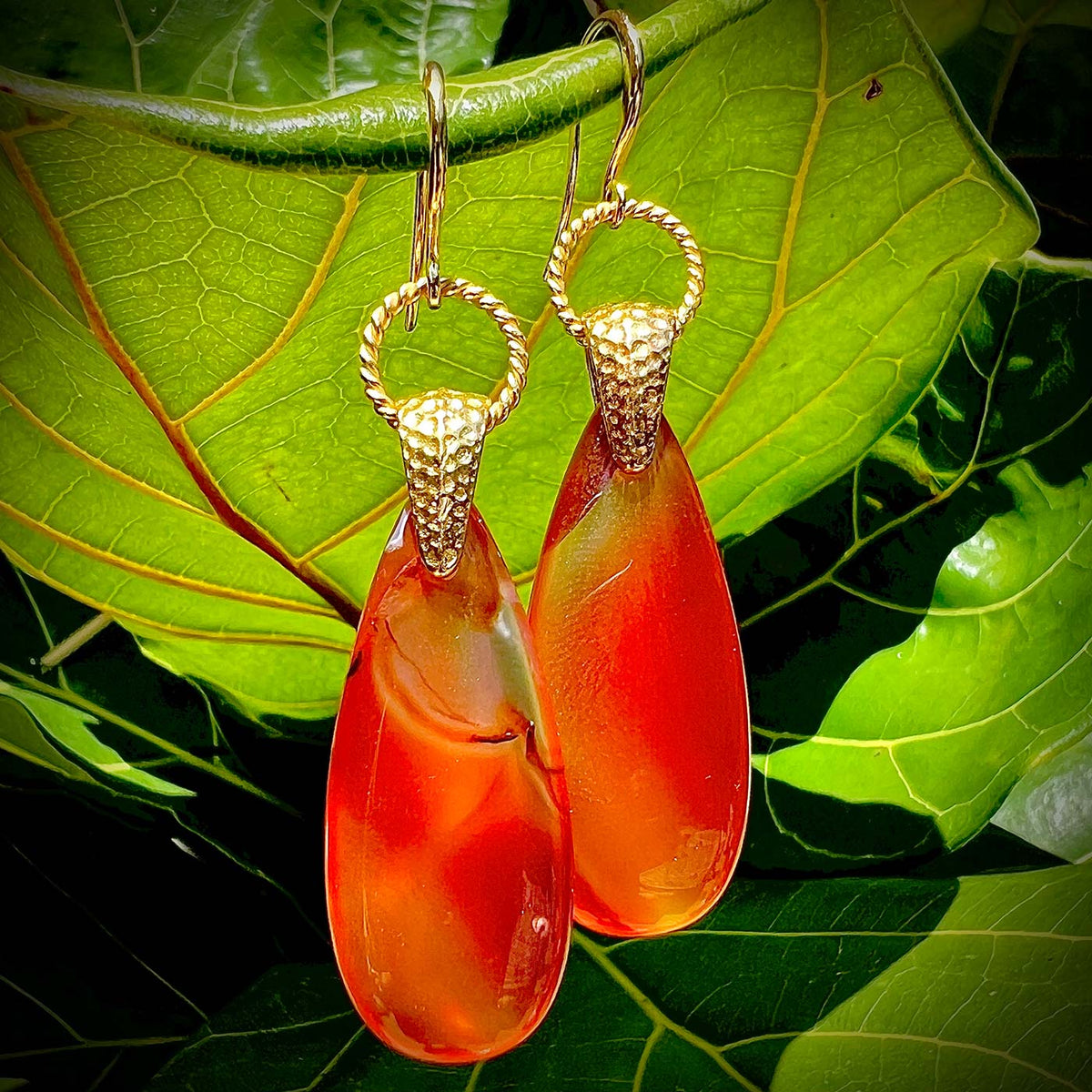 N°01 Christmas 2024 Special Set