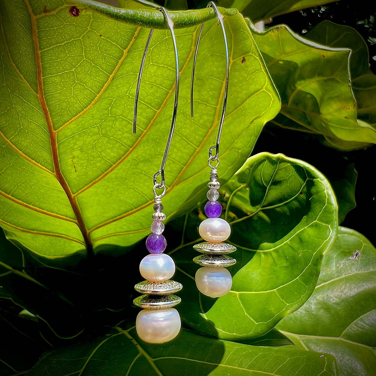 N°41 Christmas 2024 Special Set