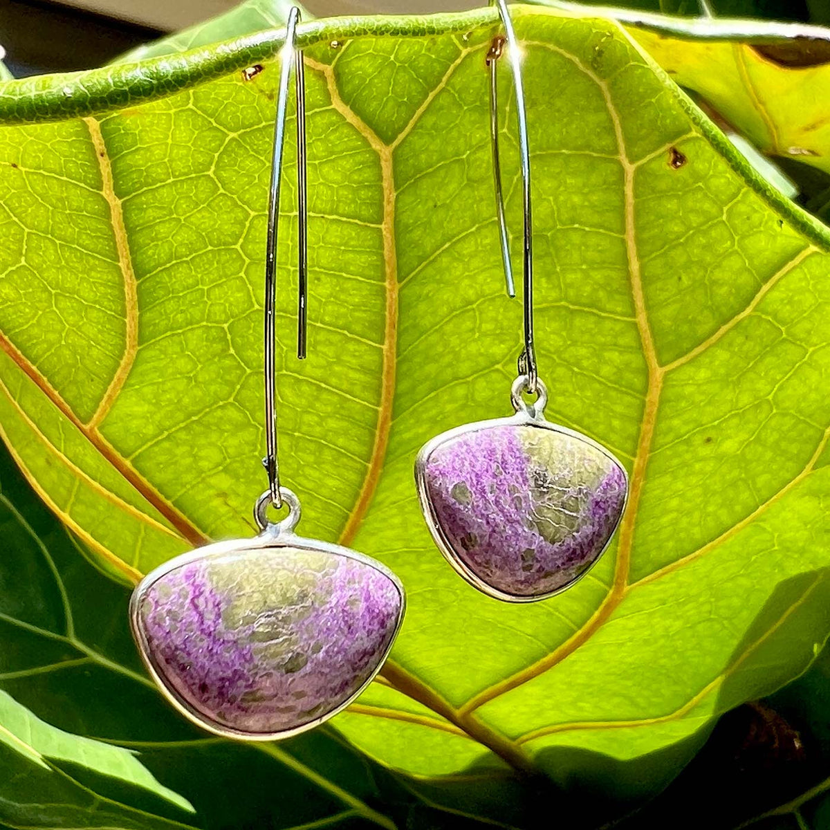 N°50 Christmas 2024 Special Set