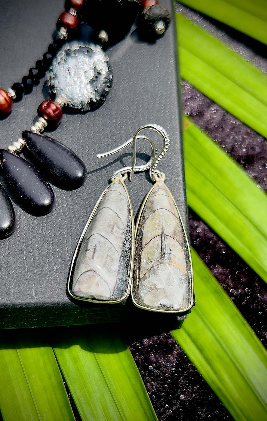 N°28 Christmas 2024 Special Set