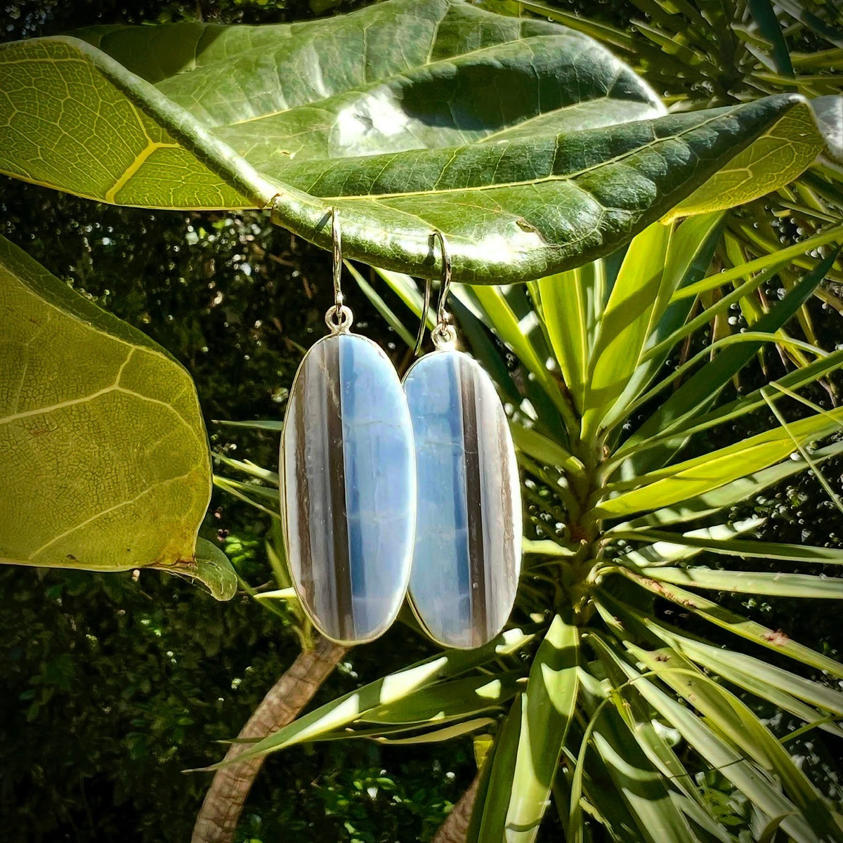 N°10 Mother&#39;s Day 2025 Special Set