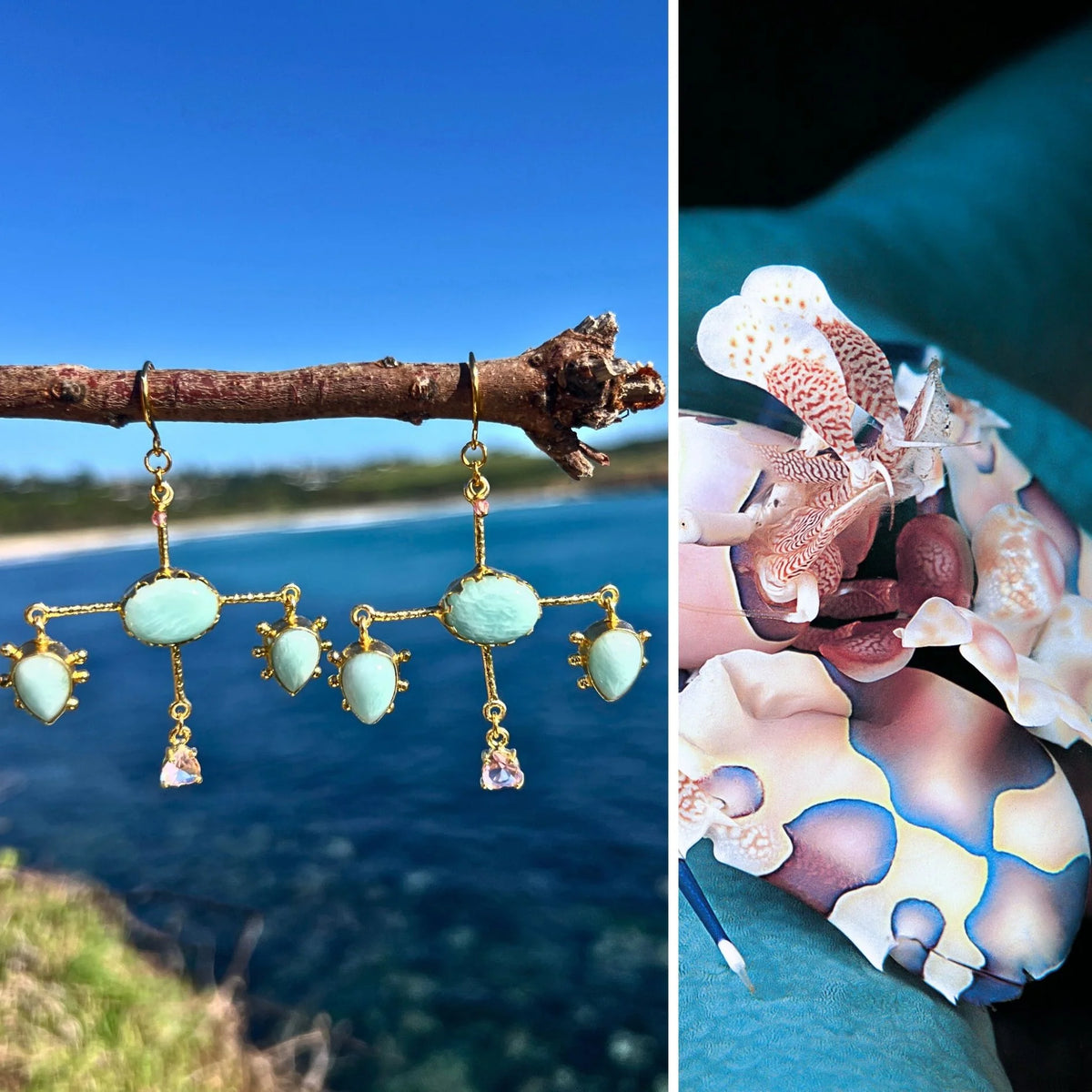 N°069 Statement Earrings - The Living Ocean Colour Collection