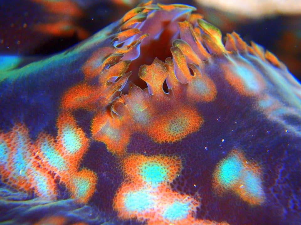 No5 Mother&#39;s Day Special Set